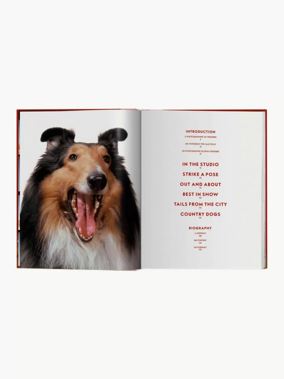 Westwing Geïllustreerd boek Dogs Photographs 1941–1991 | Decoratie | Fotoboeken