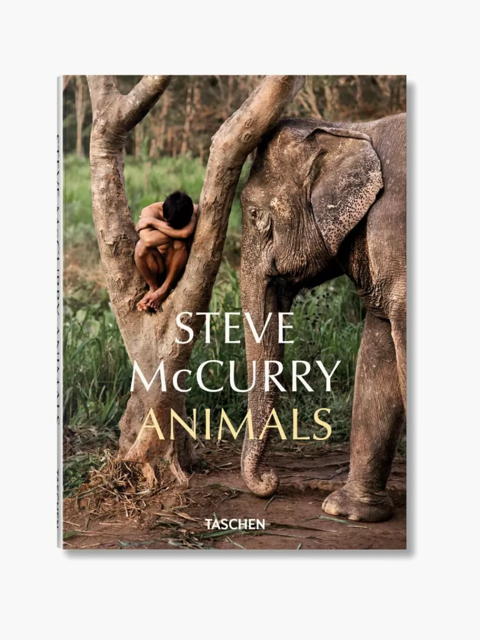 Westwing Geïllustreerd boek Steve McCurry. Animals | Decoratie | Fotoboeken