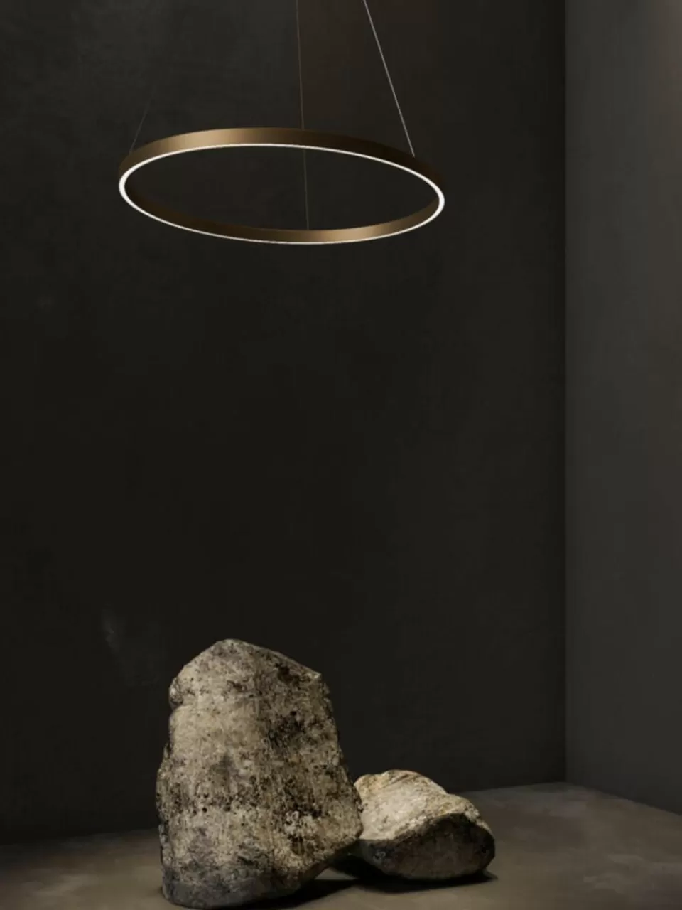 Maytoni Grote LED hanglamp Rim | Hanglampen | Hanglampen