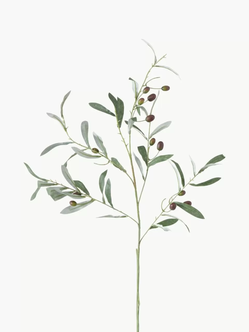 Westwing Handgemaakte decoratieve tak Olive Garden | Decoratie | Droogbloemen & Kunstbloemen