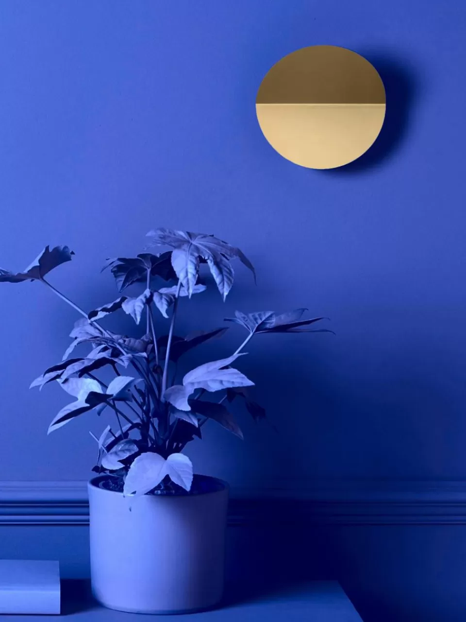 Houseof LED wandlamp Ring | Wandlampen